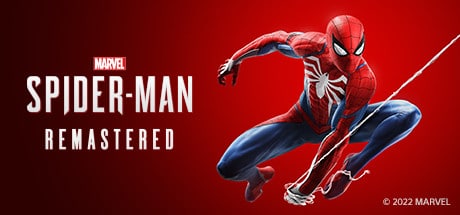 Spider-Man Banner